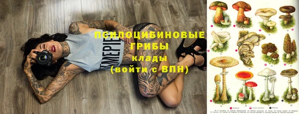 трава Алзамай