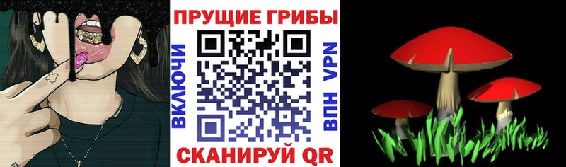 Псилоцибиновые грибы Psilocybine cubensis продажа наркотиков Зверево